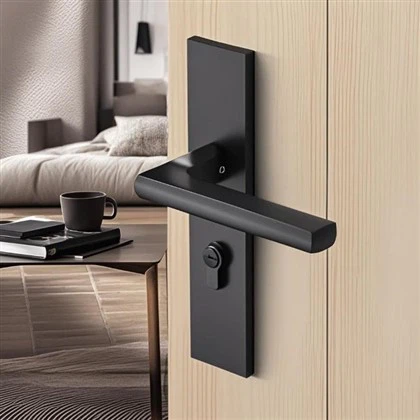 Ручка кишенькових дверей і замок